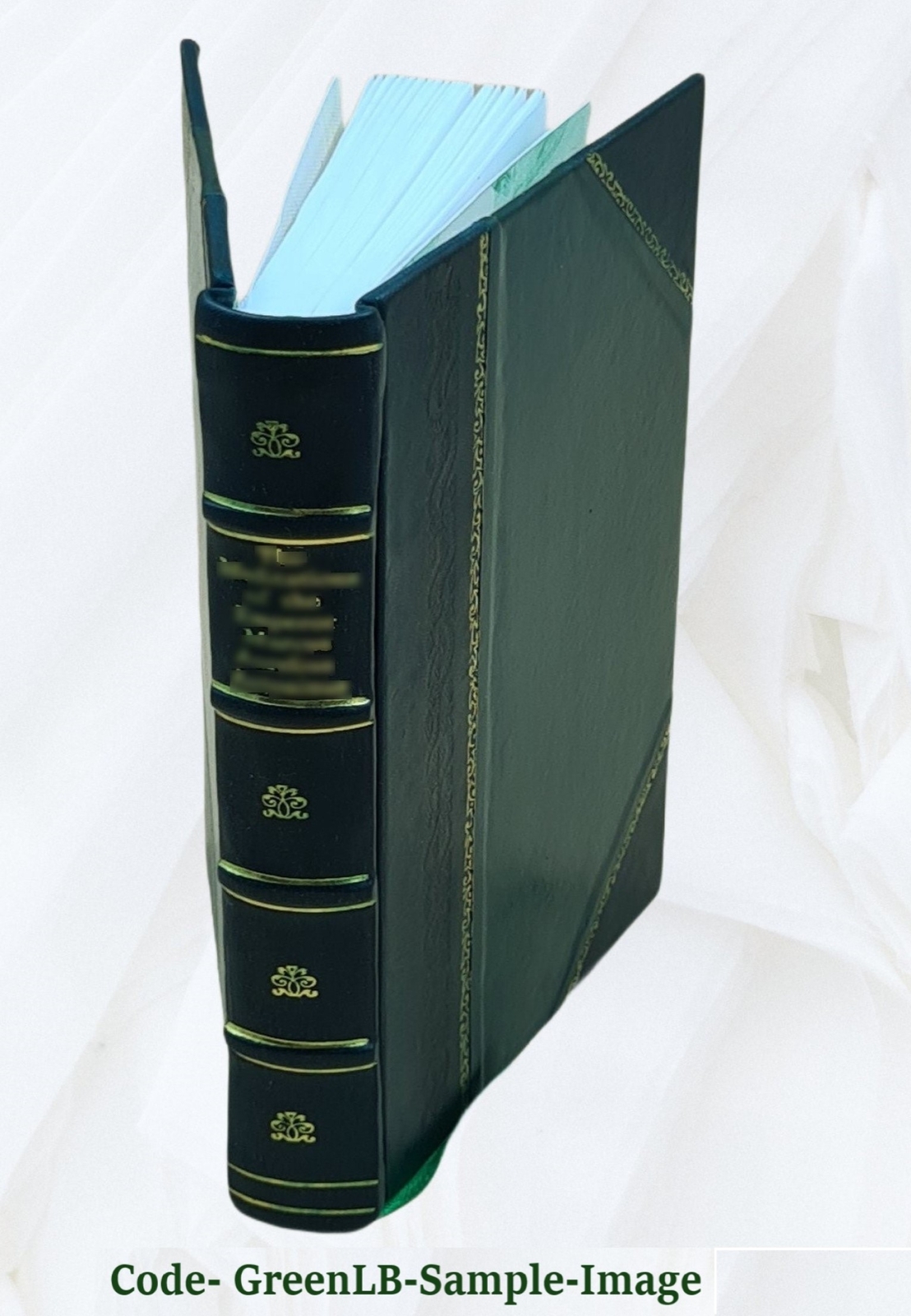 History Of The Sikhs Or Translation Of The Sikkhan De Raj Di Vik [Leather Bound]