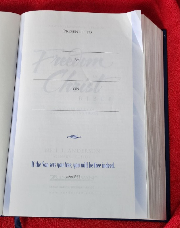 Freedom in Christ Bible New International Version Discovery Zondervan 2001 HB