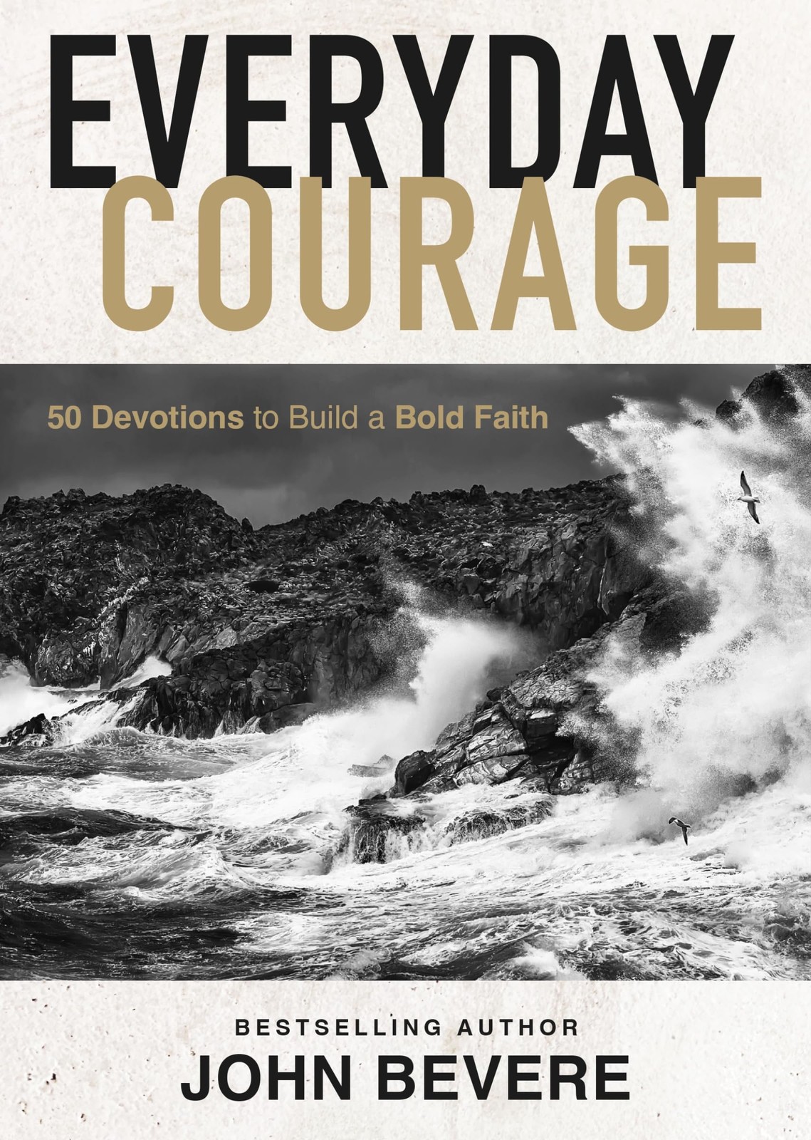 Everyday Courage: 50 Devotions to Build a Bold Faith – hardcover Bevere, Joh…
